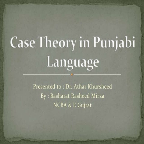 Case theory in Punjabi Language syntax