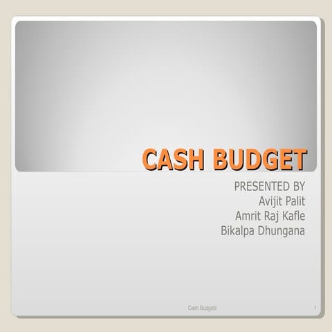 Cash budgets