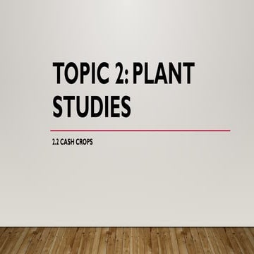 RFRERG TR RT TRRR RRTRTG GCASH CROPS.pptx