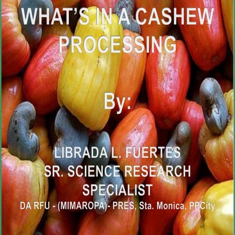 Whats's in a Cashew? Processing of Different Cashew By-Products / Librada Fue...