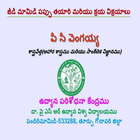 Cashew processing and marketing