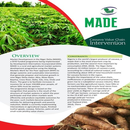 Cassava Value Chain