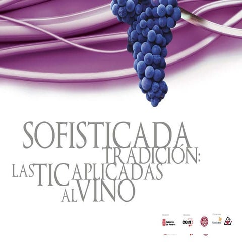 Caso de exito   bodegas torres