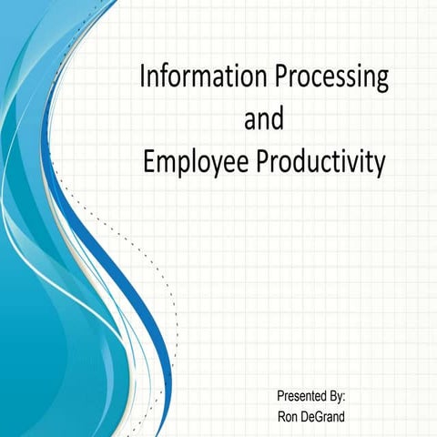 Information Processing and Employee Productivity