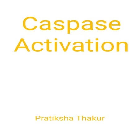 Caspase Activation Pathway 