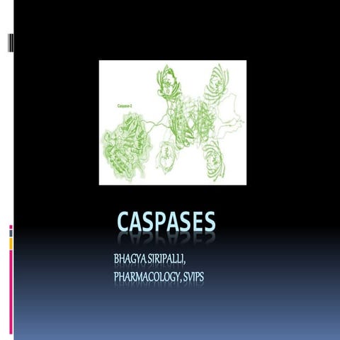 Caspases