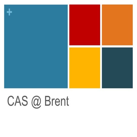 CAS Presentation BISB 2010