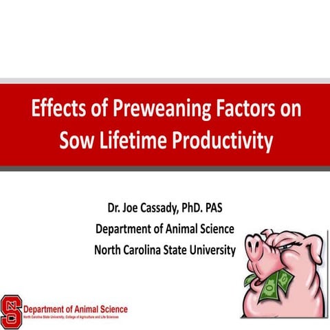 Dr. Joe Cassady - Effects of preweaning factors on sow lifetime productivity