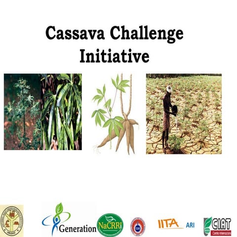 GRM 2011: Improving cassava to withstand drought and disease in Africa ‒ E Ok...