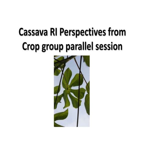 GRM 2013: Cassava product catalogue and project status -- Projects ongoing, c...