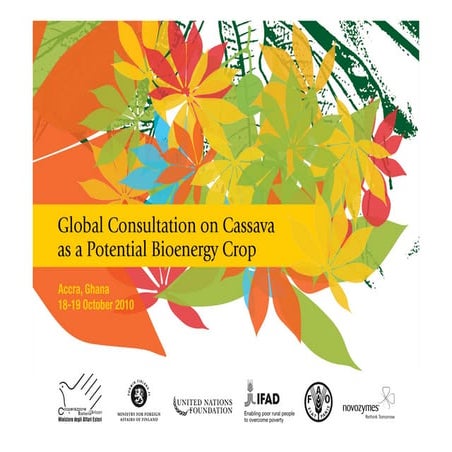 What has been done and what can be done