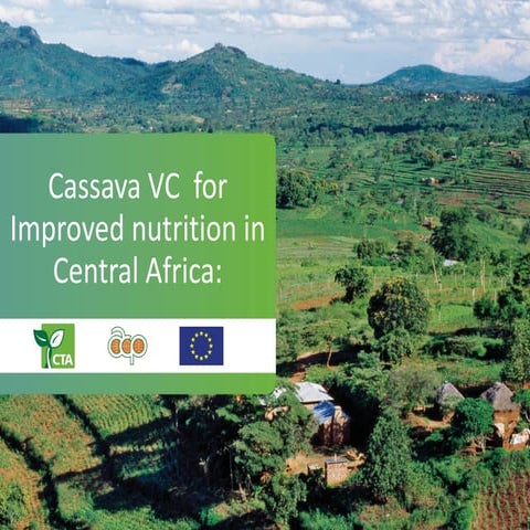Cassava value chain for improved nutrition in Central Africa