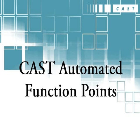 CAST Automated Function Points