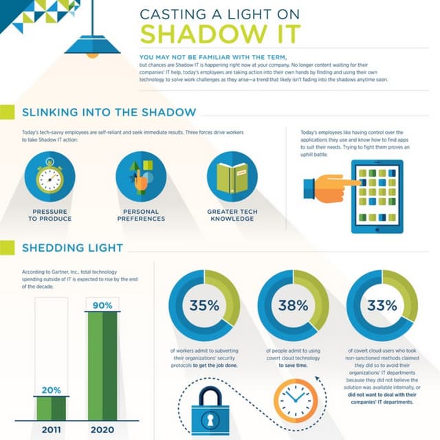 Casting a Light on Shadow IT