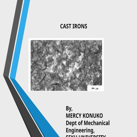 Cast iron high school website for the stimulus check a few weeks ago so I thi...