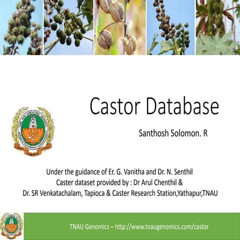 Castor database ; Casterdp 