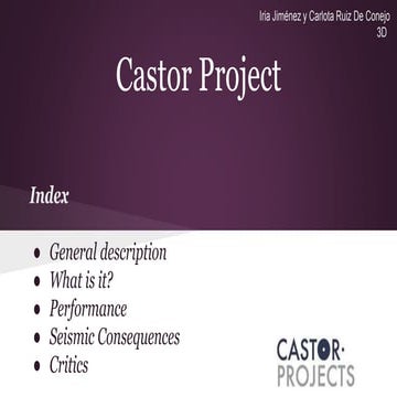 Castor project