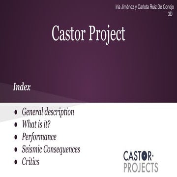 Castor project