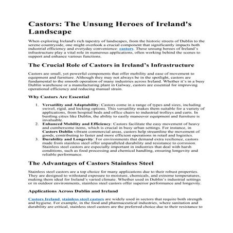 Castors The Unsung Heroes of Ireland's Landscape.pdf