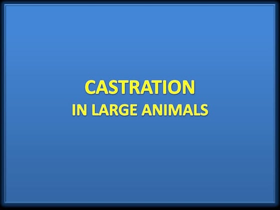 CASTRATION AND ITS TYPES IN VETERINARY ANIMALS | PPT