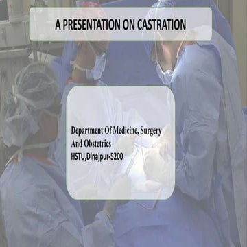 Castration of animal.pptx