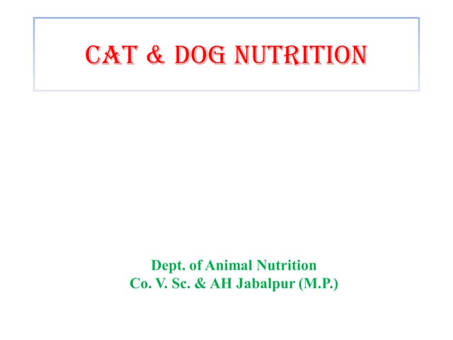 Cat-and-Dog-Nutrition for better understanding | PDF