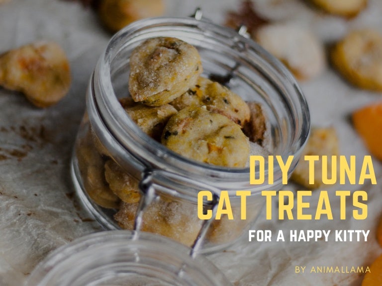 DIY Pumpkin & Tuna Cat Treats