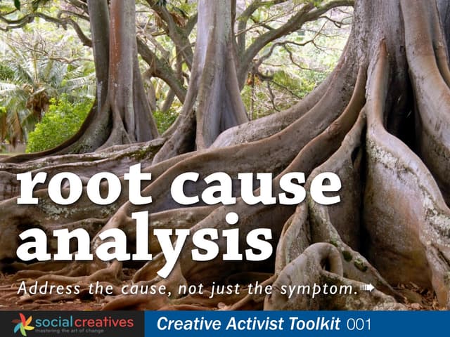 CAT001: Root Cause Analysis