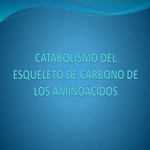 Catabolismo del esqueleto de carbono de  aminoácidos