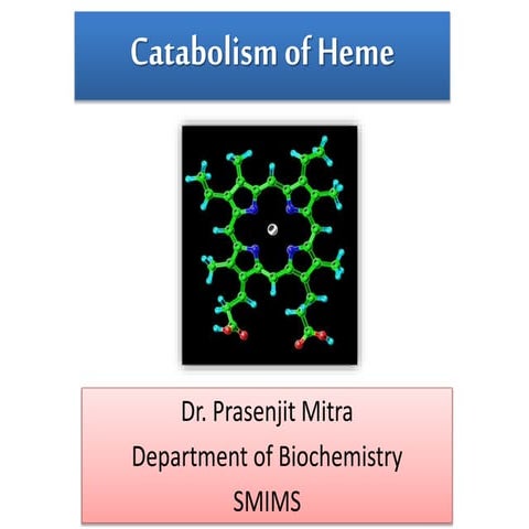 Catabolism of heme