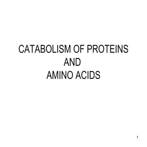 Catabolism of proteins and amino acids