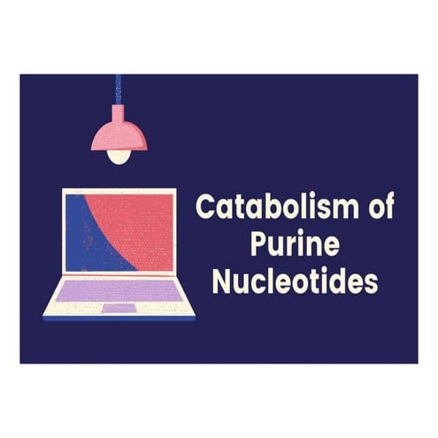 Catabolism of Purine Nucleotides | Hyperuricemia | Gout