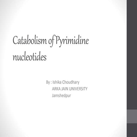 Catabolism of pyrimidine nucleotides 