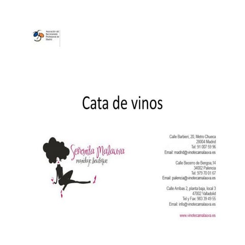 CATA DE VINOS 