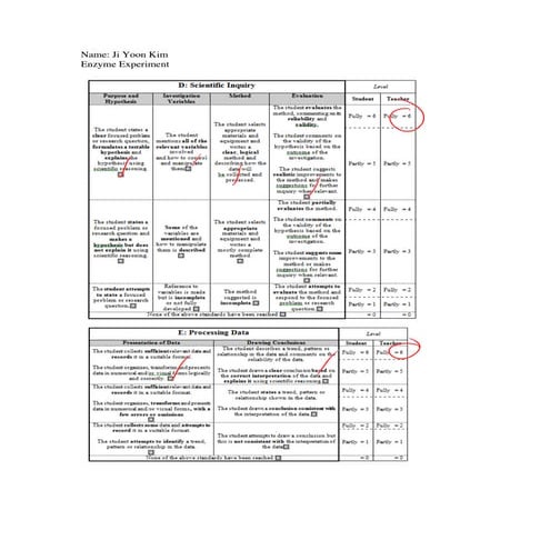 Catalase Lab Report