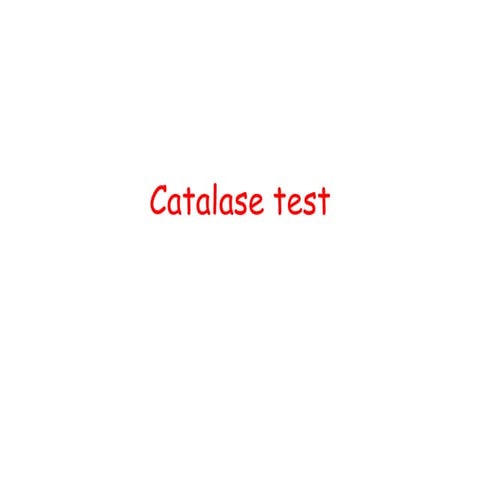 Catalase test