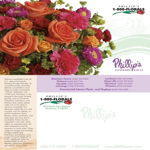 Conway Rose Petals Catalogue | PDF