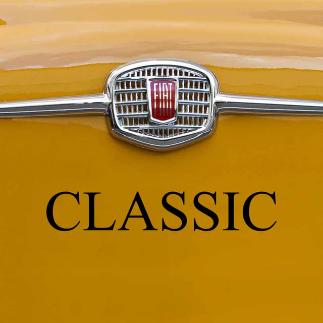 Cataloghino Musetti Cinquecento 2016