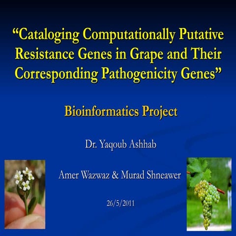 Cataloging computationally putative resistance genes in grape and