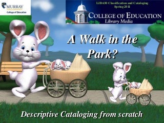 The American Kennel Club Diaries