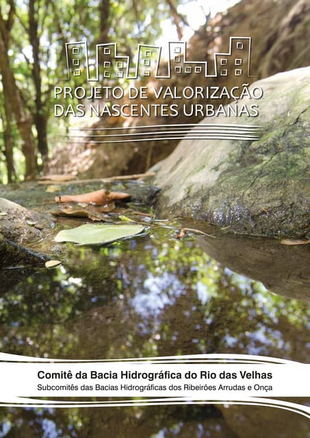 Projeto de Valorização das Nascente...