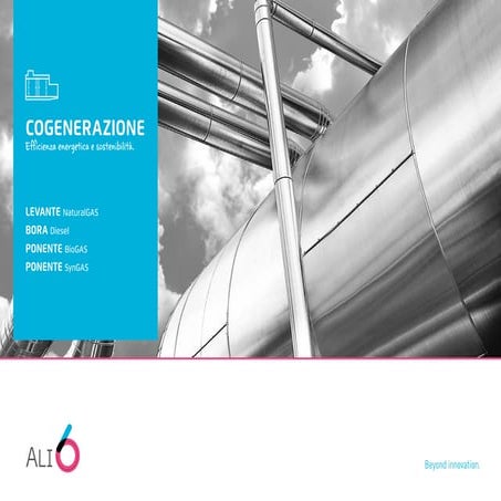ALi6 - Catalogo Cogeneratori | PDF