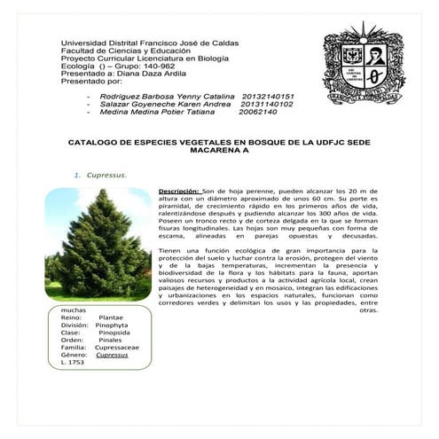 Catalogo plantas-maca