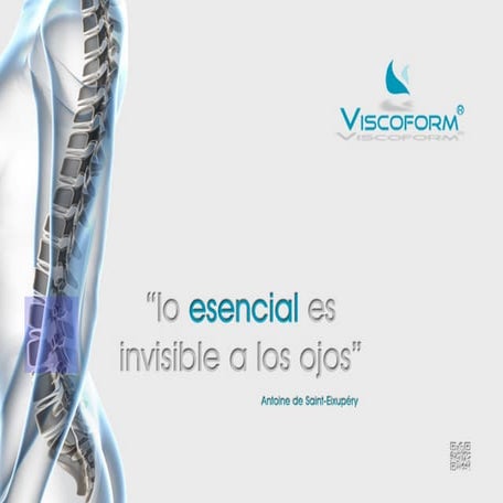 Catalogo colchones, toppers, almohadas y asientos viscoform 2012