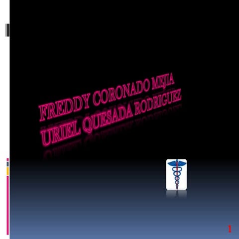 Catalogo de equipos de protección personal creado por freddy coronado mejia