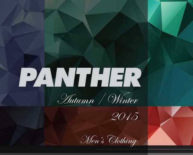 Catalogo Indumentaria Panther Invie...