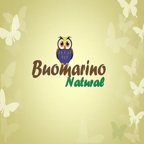 Catalogo navidad Buomarino 2014