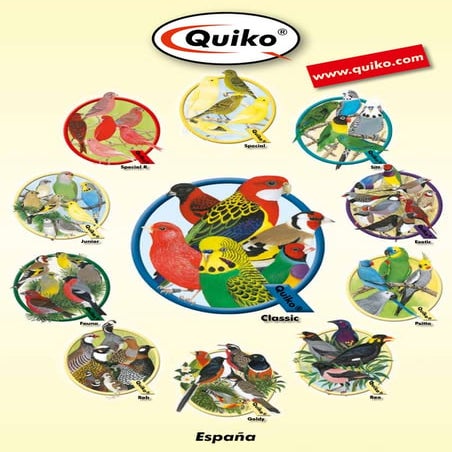 Catalogo quiko criadores profesional