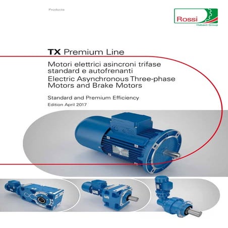 Электродвигатели серии TX ROSSI
