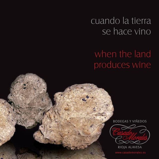 Presentación de la bodega Winery introduction PDF